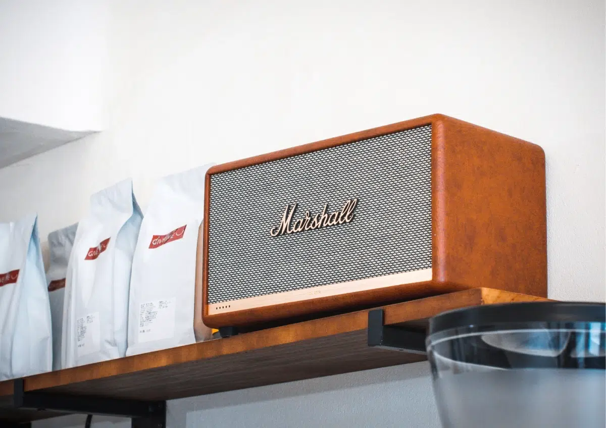 REPARAR ALTAVOZ GRANADA