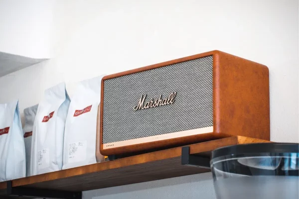 REPARAR ALTAVOZ GRANADA